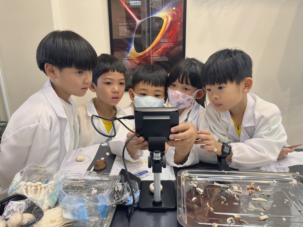 孩子們用電子顯微鏡觀察標本