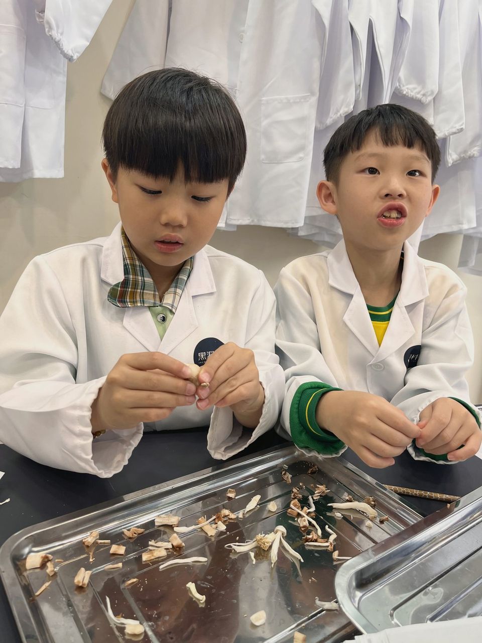 兩個孩子一起觀察實驗樣本
